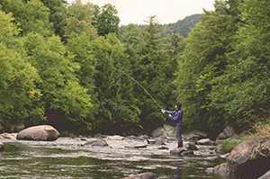 Person fishing on river shoreline