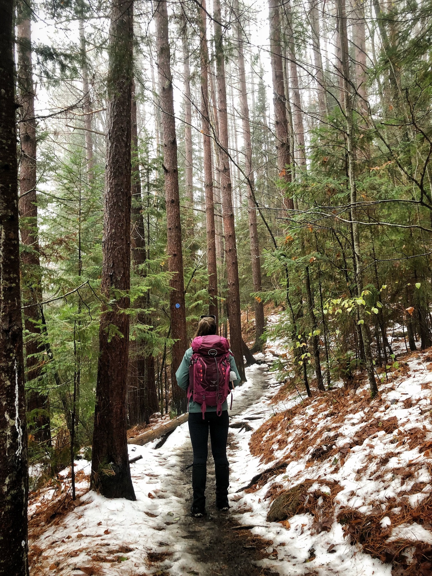 Hiker On Muddy Trail
