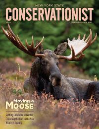 Feb/Mar Conservationist cover