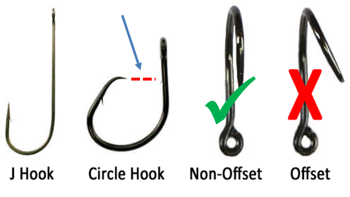 Maryland Department of Natural Resources Example of Circle Hooks Compared to J-Hooks