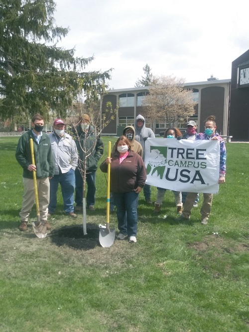 Arbor Day Tree Planting