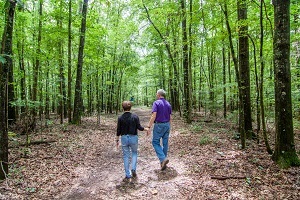 couple walking in wooded area