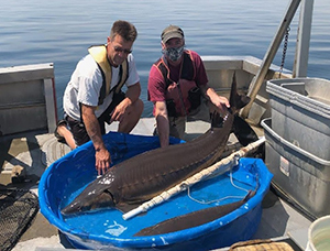 Oneida Lake lake sturgeon