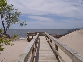 a boardwalk leading to a viewing platform