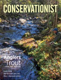 April/May 2021 Conservationist cover