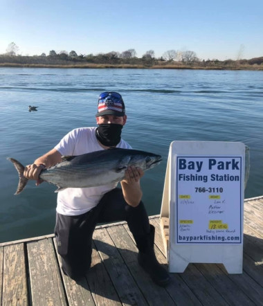 Atlantic Bonito state record held by angler in November 2020