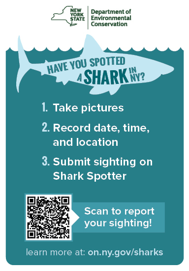 shark spotter instruction graphic
