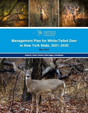 cover page of the DEC 2021-2030 deer management plan