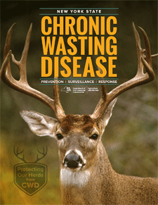 cover page of an informational DEC booklet about Chronic Wasting Disease, with a photo of a buck