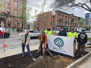 several people participate in planting a tree on the street