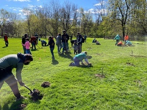 several people planting trees outside in a field