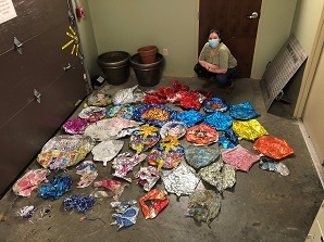 several littered balloons collected during field work