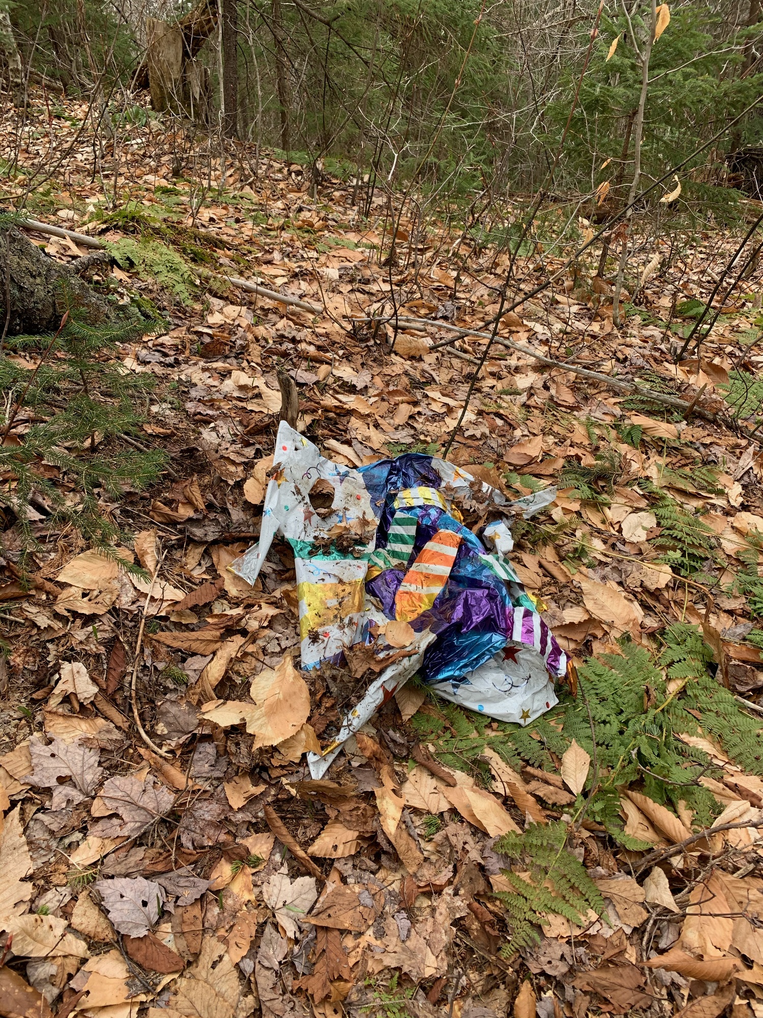 Balloon LItter