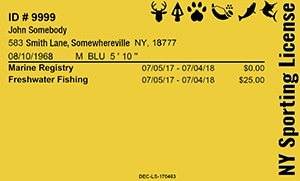 Mock Fishing License