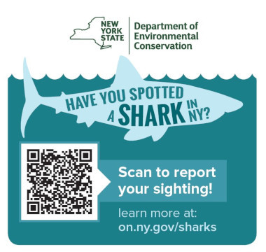 Shark Spotter Digital Survey Reporting QR Code