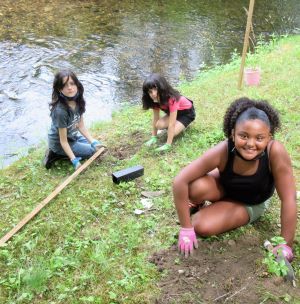 Three girls are planting tree seedlings next to a stream.
