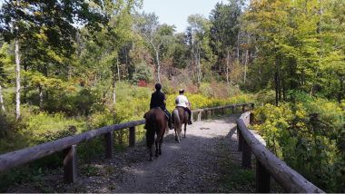 New trail improvements along an equestrian trail