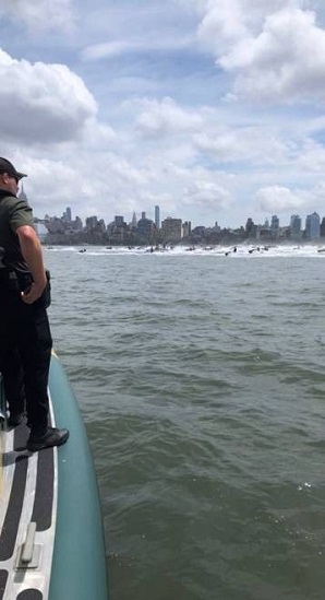 ECO standing on a vessel in the water monitoring 400 jet skis moving toward him