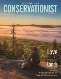 June/July 2021 Conservationist cover