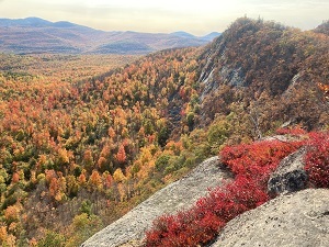 view of fall foliage and forests from a mountaintop