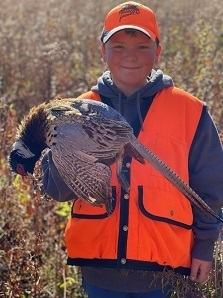 Youth hunter wearing a blaze orange cap and vest holds a harvested pheasant
