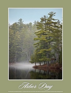 2020 poster featuring pine trees in the Adirondacks
