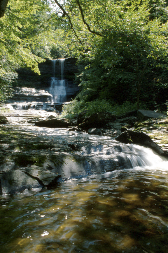 Carpenter Waterfall flowing down over rocks onto a stream