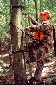 Hunter properly wearing a safety harness and a climbing belt while climbing a tree stand