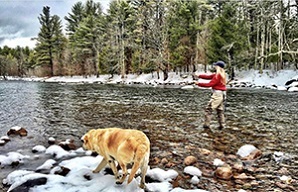 Woman in stream trout fishing with dog