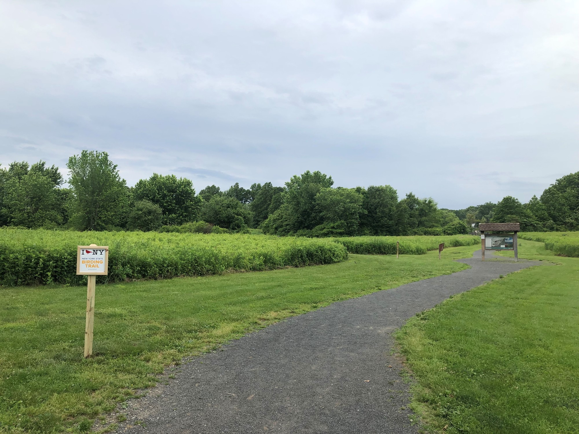 the NYS Birding Trail sign along the side of a trail
