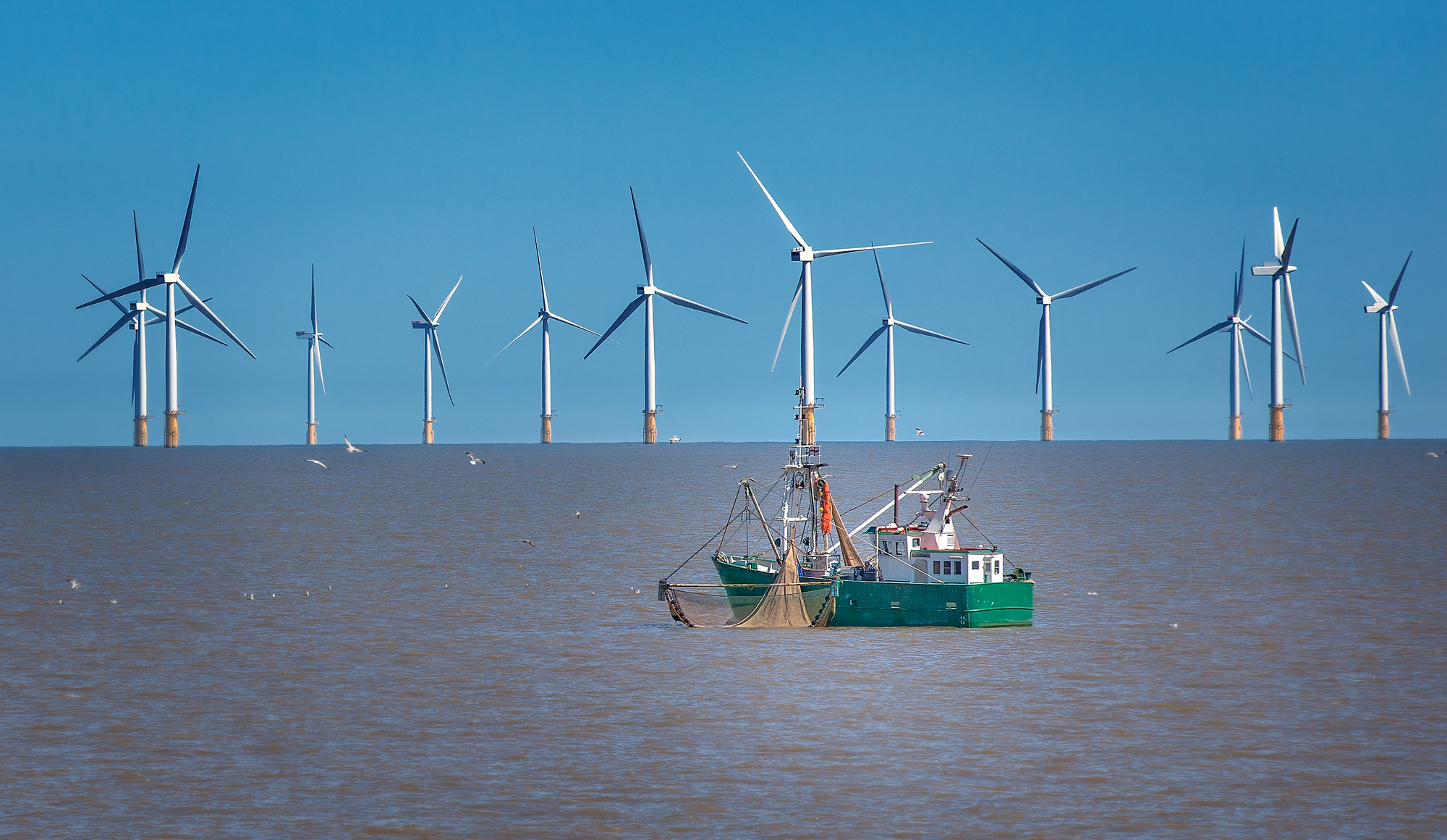 fishing boat near offshore wind turbines