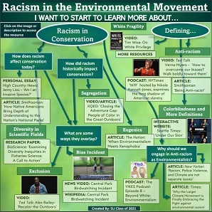 Racism in the environmental movement flowchart