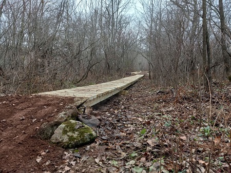 Elm Ridge Boardwalk 