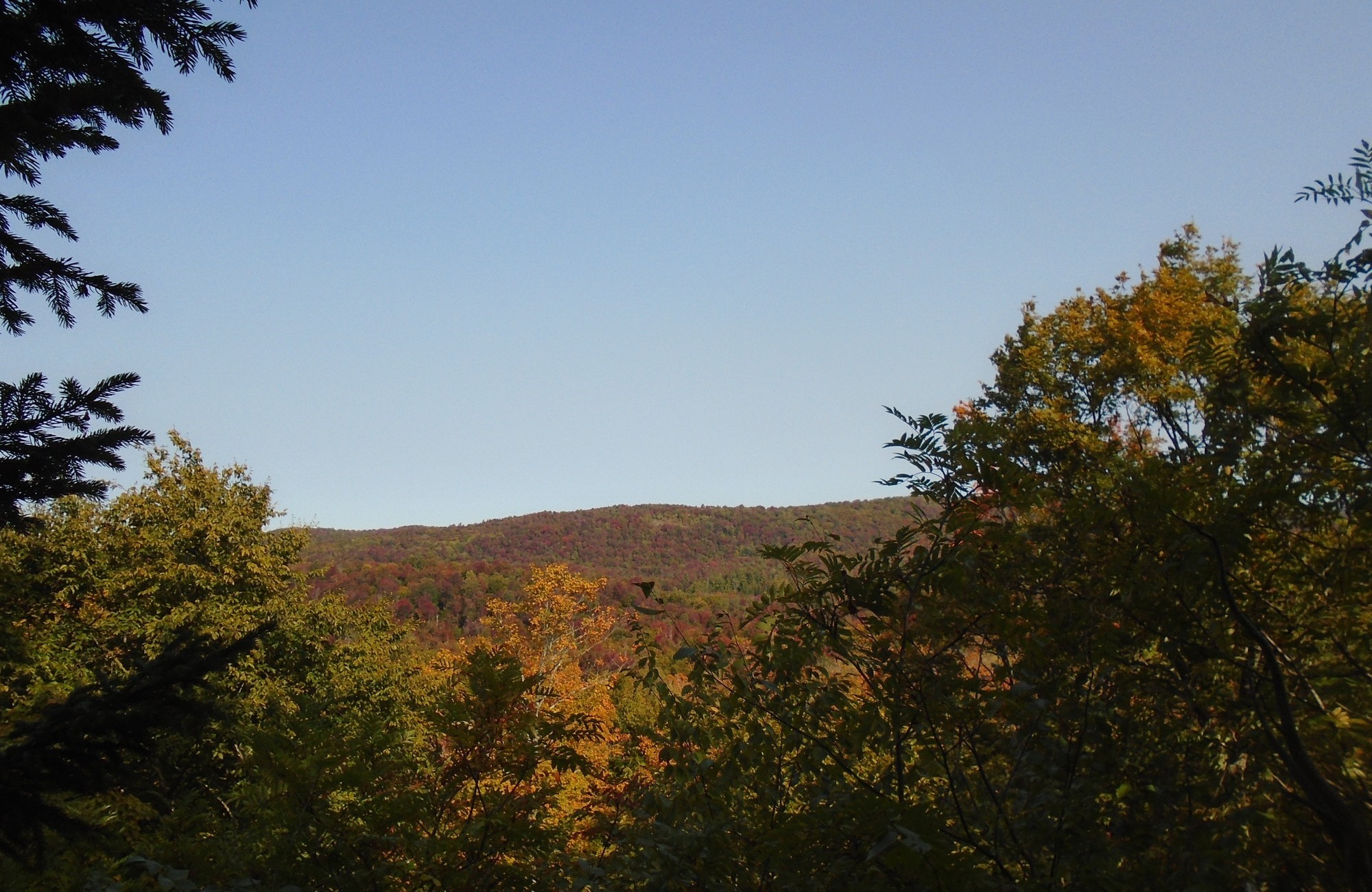 Flatrock Mountain Conservation Easement