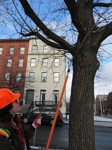a person in a hard hat prunes a tree in a city amid snow