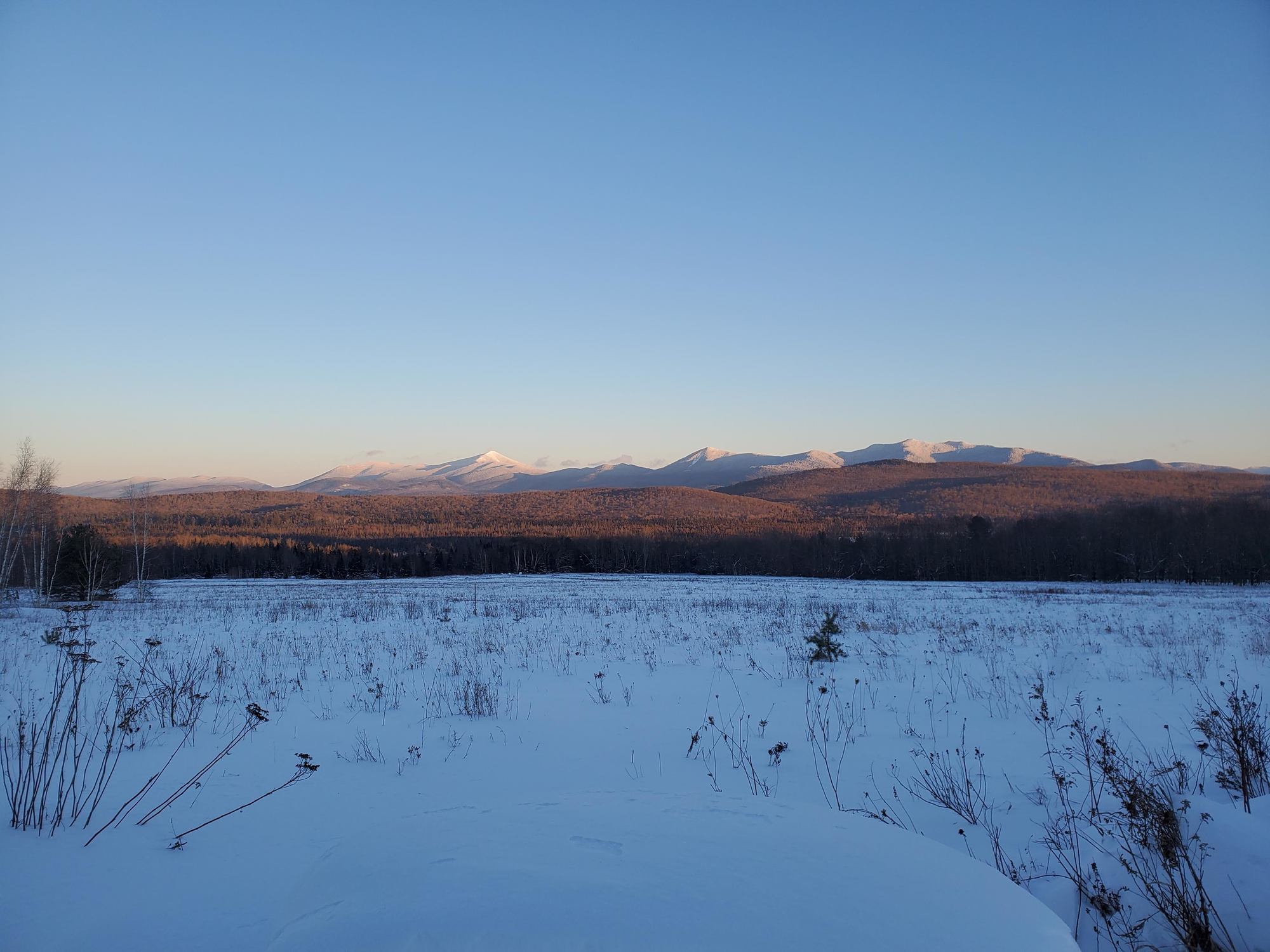 View of snowy mountains across field