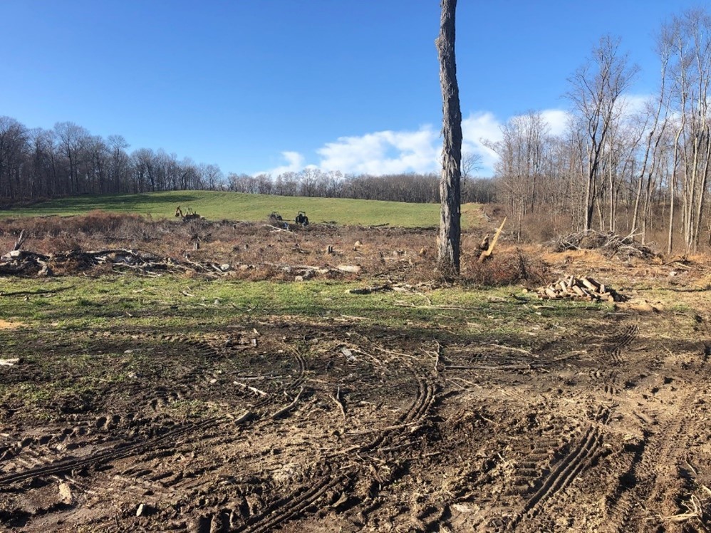 Environmental Events & News for Dutchess, Orange, Putnam, Rockland, Sullivan, Ulster and