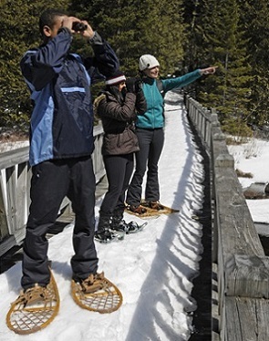 three people birdwatching on bridge