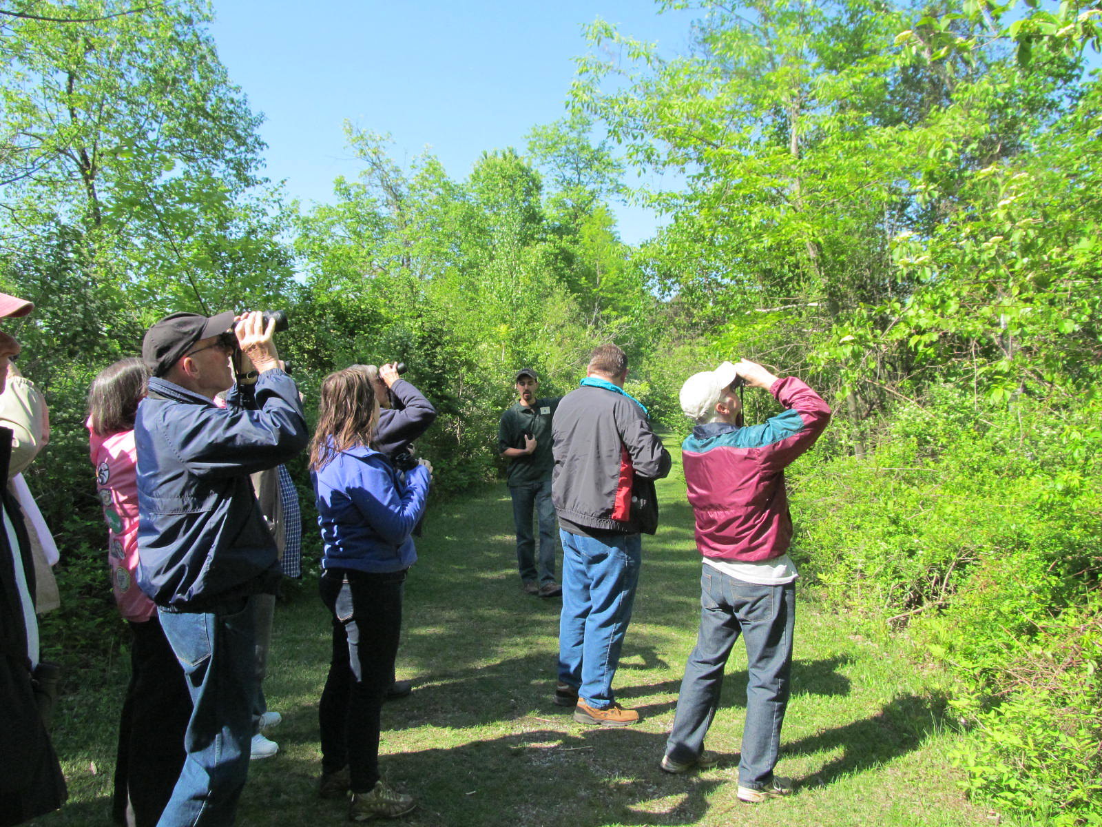 birders at Reinstein Woods