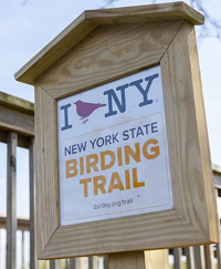 I Bird NY Birding Trail signage