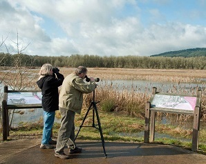 two people watching birds with spotting scope and binoculars