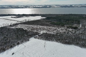 Aerial photo of Long Point State Park