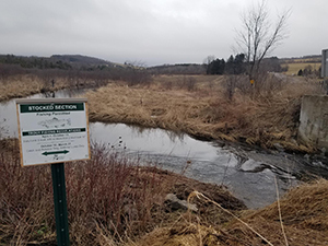 Trout Stream sign