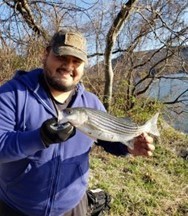 person holding a striped bass