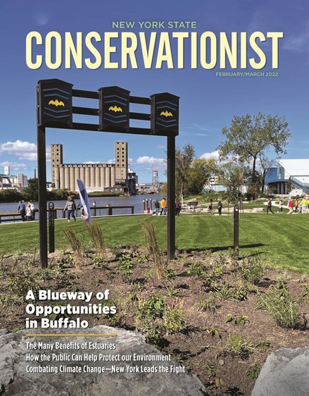 February/March 2022 Conservationist cover