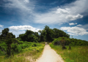 Elizabeth Morton National Wildlife Refuge