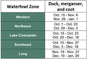 Table showing duck hunting season dates