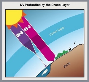 ozone layer graphic