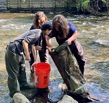 Students with glass eels