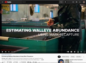 Estimating Walleye Abundance Video